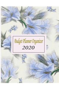 budget planner organizer 2020