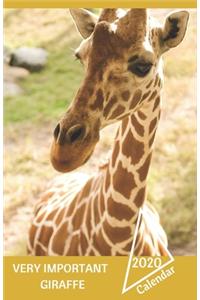 Very Important Giraffe