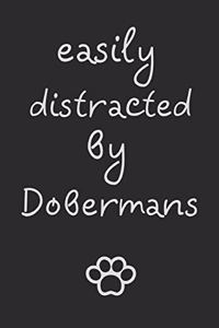 Easily distracted by Dobermans