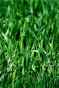 Meadow Notebook