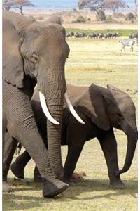 The Hacker-Proof Internet Address Password Book - Elephant Family