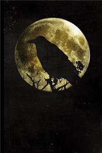 Full Moon Raven