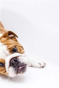 Puppy Notebook