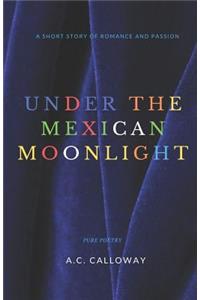 Under the Mexican Moonlight