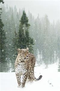 Persian Leopard in a Snow Covered Winter Forest Journal
