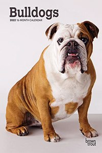 Bulldogs 2022 Engagement