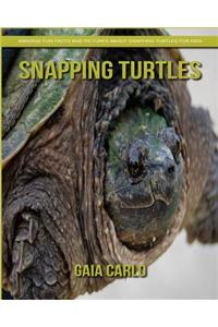 Snapping Turtles