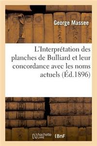 L'Interprétation Des Planches de Bulliard Et Leur Concordance Avec Les Noms Actuels