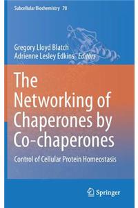 Networking of Chaperones by Co-Chaperones