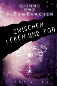 Spinne und Glühwürmchen