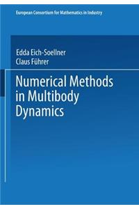 Numerical Methods in Multibody Dynamics