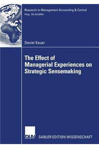 Effect of Managerial Experiences on Strategic Sensemaking