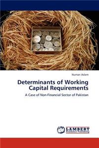 Determinants of Working Capital Requirements