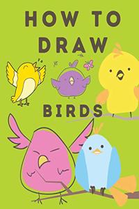 How to Draw Birds