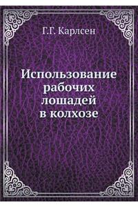 Использование рабочих лошадей в колхозе