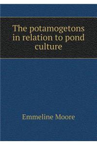 The potamogetons in relation to pond culture