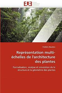 Représentation multi-échelles de l'architecture des plantes