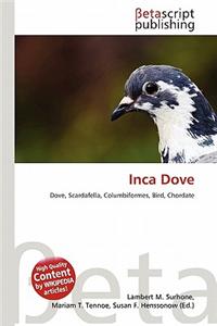 Inca Dove