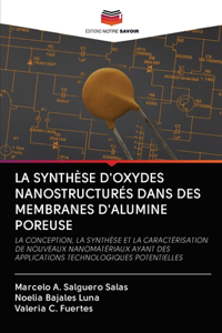 Synthèse d'Oxydes Nanostructurés Dans Des Membranes d'Alumine Poreuse