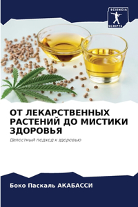 ОТ ЛЕКАРСТВЕННЫХ РАСТЕНИЙ ДО МИСТИКИ ЗДОР