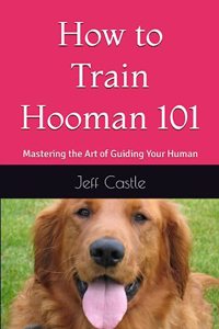 How to Train Hooman 101