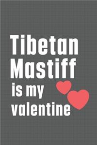Tibetan Mastiff is my valentine