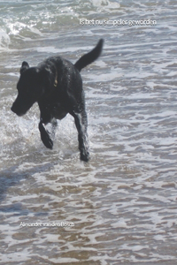 Is het nu simpeler geworden