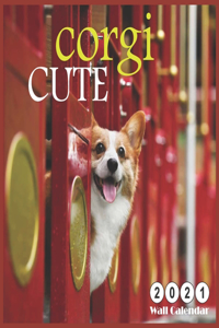 corgi cute