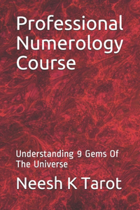 Professional Numerology Course