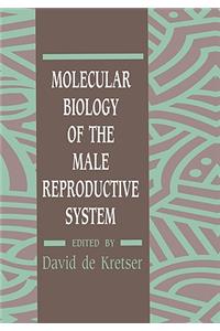 Molecular Biology of the Male Reproductive System