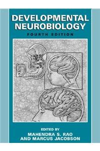 Developmental Neurobiology