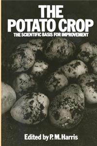 Potato Crop