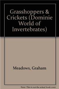 Grasshoppers & Crickets