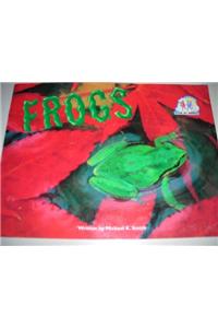 Steck-Vaughn Pair-It Books Early Emergent