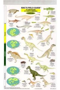 Mac's Field Guides: North American Dinosaurs