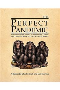 The Perfect Pandemic