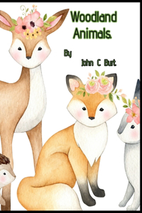 Woodland Animals.