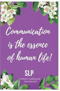Speech Therapy Notebook