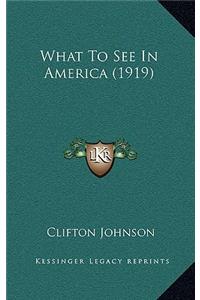 What to See in America (1919)