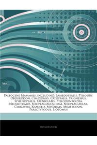 Articles on Paleocene Mammals, Including