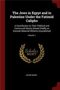 Jews in Egypt and in Palestine Under the Fatimid Caliphs