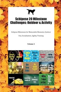 Schipese 20 Milestone Challenges