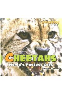 Cheetahs