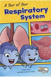 Tour of Your Respiratory System