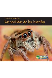 Los Sentidos de Los Insectos