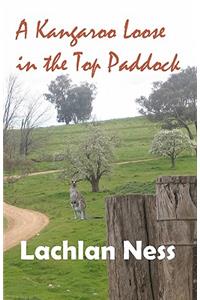 A kangaroo loose in the top paddock