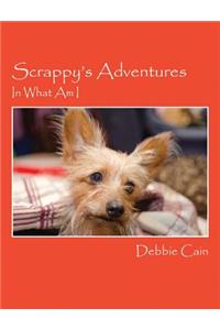 Scrappy's Adventures