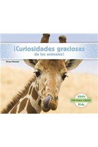 ¡Curiosidades Graciosas de Los Animales!