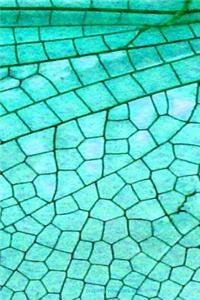 Dragonfly Wing Blank Book