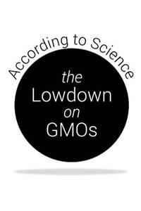 Lowdown on GMOs